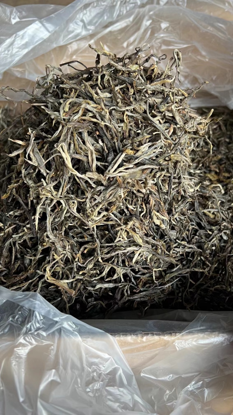 普洱茶批发新趋势:如何把握市场机遇